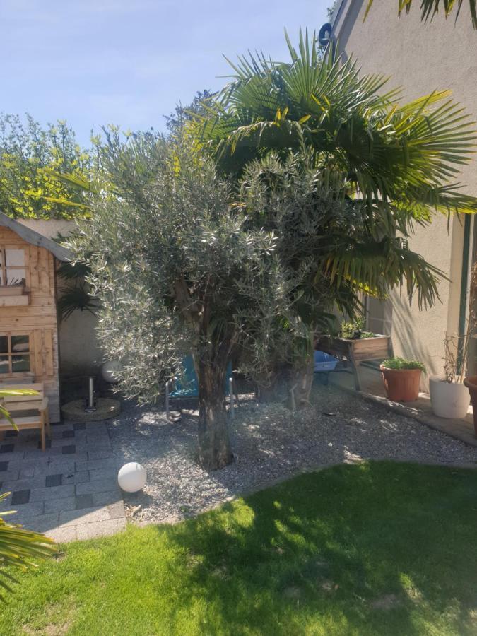 Ferienhaus Apetlon Buitenkant foto